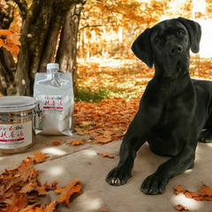 Collection image for: Pet Esthé Thalassotherapie mit Naturschlamm