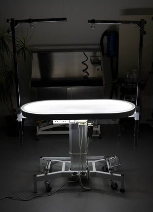 Groom-X Compact Oval electric grooming table with light
