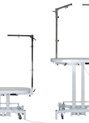 Groom-X Compact Oval electric grooming table with light