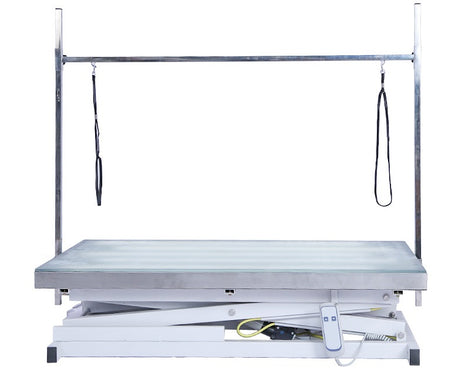 Electric grooming table with LED