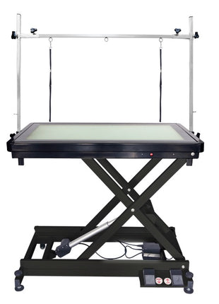 Electric grooming table with LEDs in two different colors