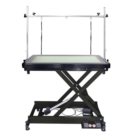 Electric grooming table with LEDs in two different colors