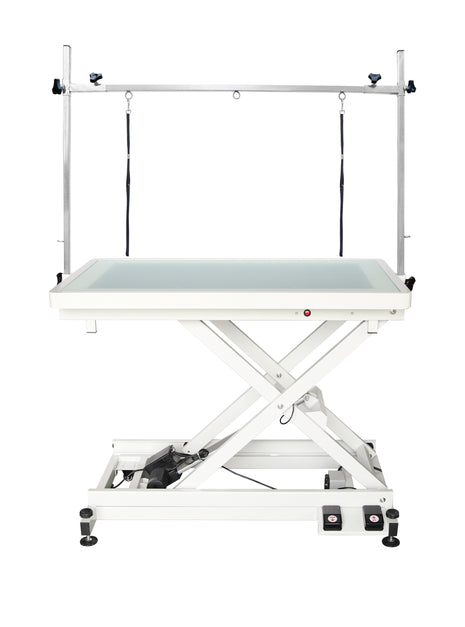 Electric grooming table with LEDs in two different colors