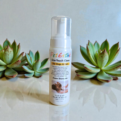 One-Touch Clean Foam Shampoo 180g | exklusives Shampoo ohne Wasser