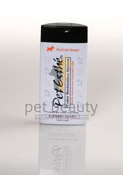 Color Restoration System Mixed Color Shampoo | 400ml | exclusives Shampoo zur Farbwiederherstellung