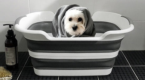 Faltbare Hundebadewanne mit Abfluss | grün-grau