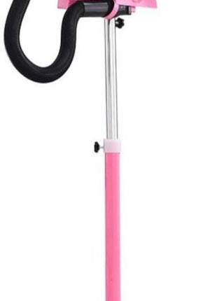 Professional dog hair dryer with stand | Dual motor | 500~3600W