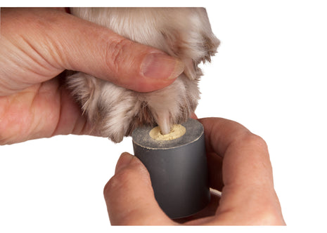 Show Tech Stop Bleeding Spender | Behälter für Blutstop-Pulver